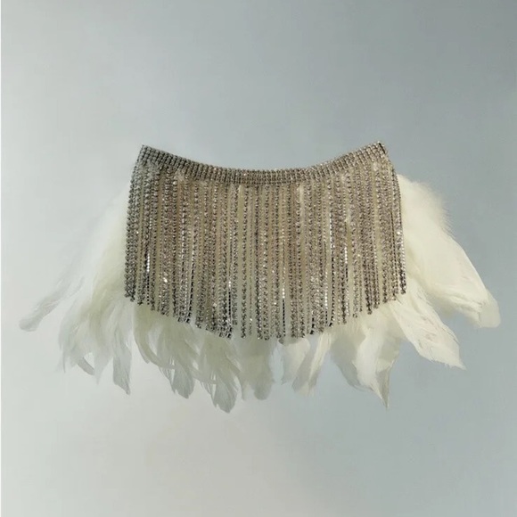 NWOT. Zara Feather Rhinestone Fringe Choker Necklace. - Picture 5 of 8